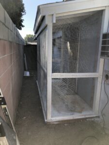 Porch Catio Construction in Lakewood